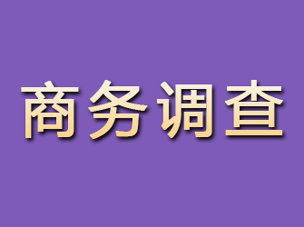 武宁商务调查